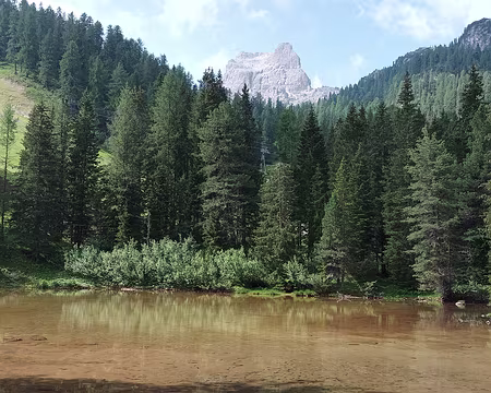 0041 le vallon vert de Fourzargo