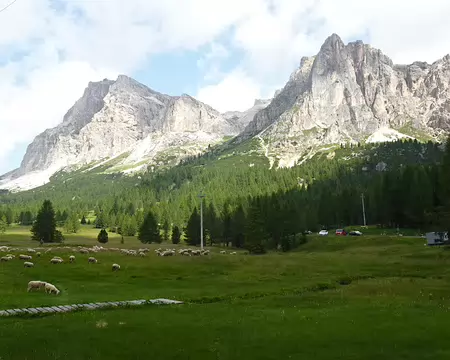 0042 à gauche du parc à moutons