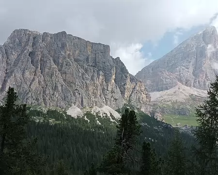 0043 nous montons en forêt