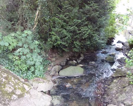 P1170050 La Prédecelle