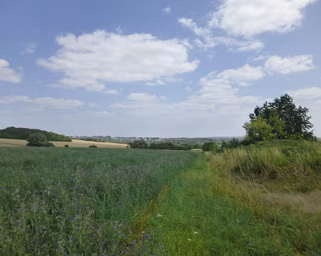 P1170064 Vallée de l'Orge