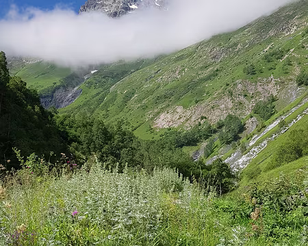 2023_07_03-10_21_04 Vallon de Lanchâtra