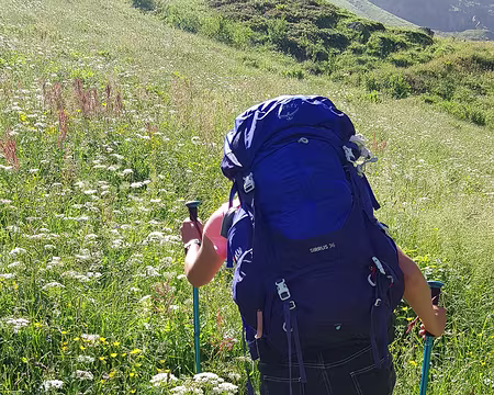 2023_07_03-10_58_19 Le sentier devient sente, à deviner parmi les herbes