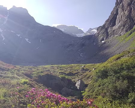 2023_07_05-09_12_44 Le soleil arrive