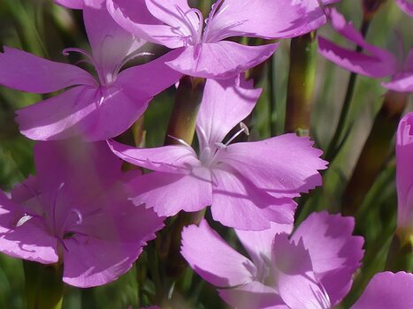 Christian Christian D, détail sortie