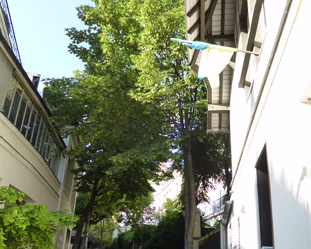 P1170106 Avenue Frochot (privée)