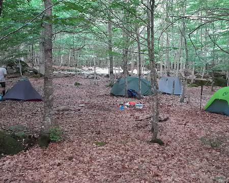 001 (087) J22 - Bivouac dans le Vall de Conangles, on se croirait en Ile-de-France.
