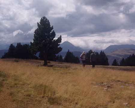 001 (095) J27 - Le Collet de Tudela, très plat.