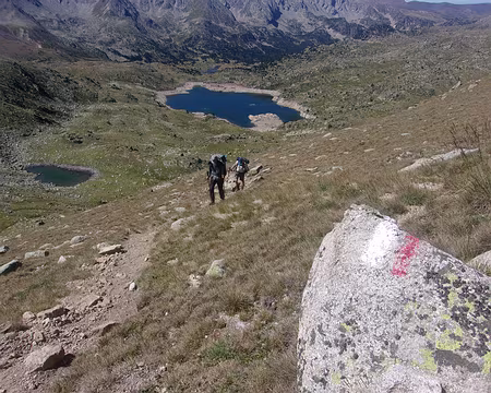 001 (109) J31 - Estany de l'Illa.