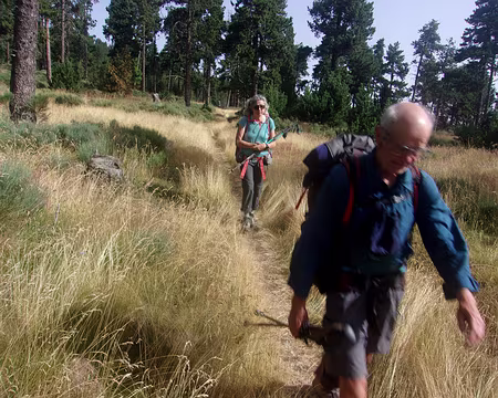 001 (124) J34 - En direction de Font-Romeu.