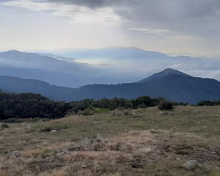 001 (156) J40 - Depuis le col de l'Ouillat le Canigou est toujours présent.