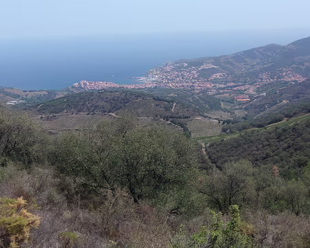 001 (161) J41 - Banyuls, tout près !