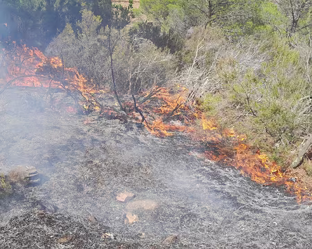001 (165-2) ... nous sommes passés in extremis le long d'un incendie qui venait de se déclarer à l'entrée de Banyuls - J41