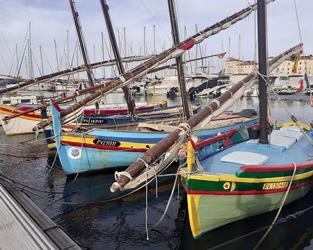 001 (166-2) J41 - Dans le port de Banyuls.