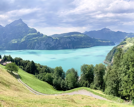 20230715-16h01m19s-IMG_6164-V3