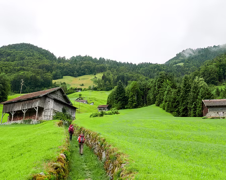 20230716-08h59m07s-53155239337_faf2500f7a_o-V3 Montée vers Rösti.