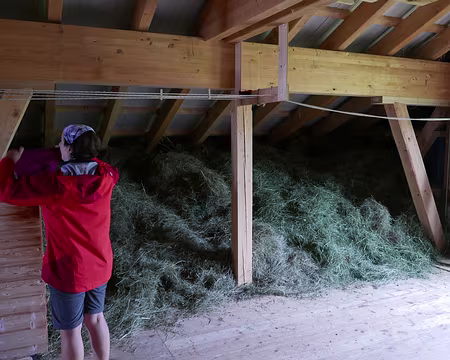 20230716-13h21m54s L'herbe c'est pour les habitantes d'en dessous