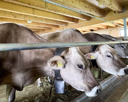 20230716-17h35m04s-IMG_6221-V3 Au rdc on mange