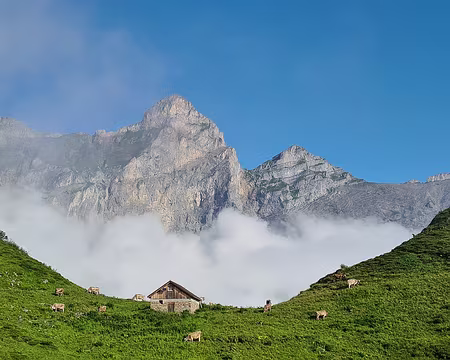 20230717-08h33m39s-V4