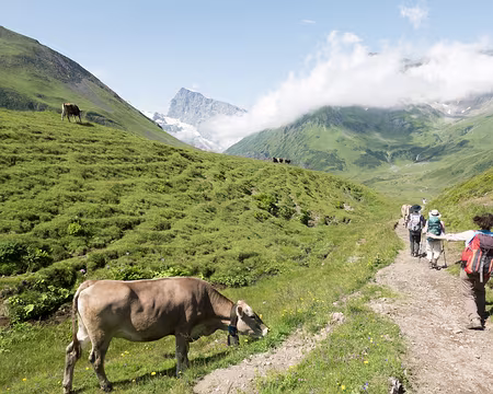 20230717-11h12m37s-V4