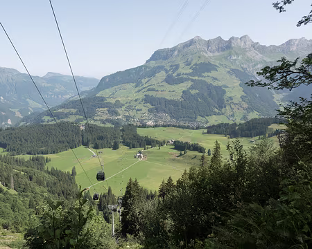 20230718-10h39m15s-V4 Bizarre certains humains n'utilisent pas leurs pieds