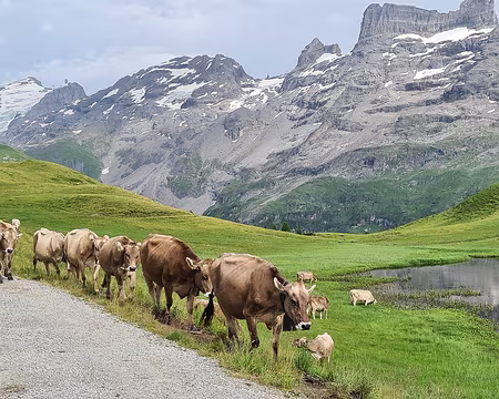 20230718-17h06m34s-V4 C'est bien la fin de journée pour les travailleuses