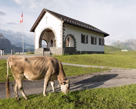 20230719-07h24m29s-V4