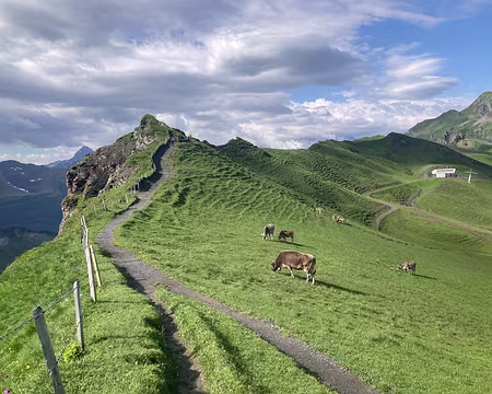 20230719-09h40m50s-IMG_6291-V3