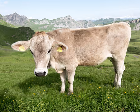 20230719-09h44m16s-V4 Il veut ma photo, le photographe ?