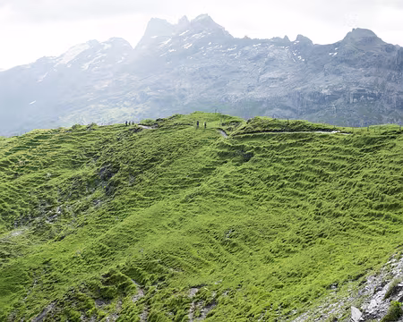 20230719-09h49m43s-V4