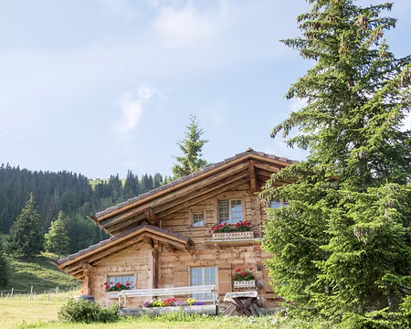 20230720-09h21m42s-V4