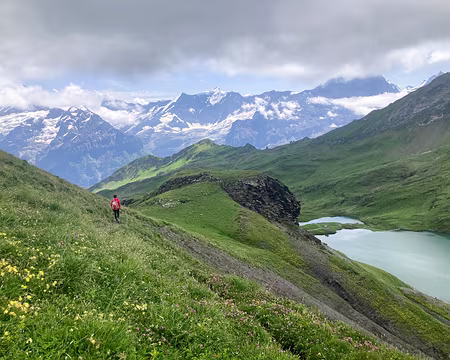 20230720-13h45m23s-IMG_6314-V3