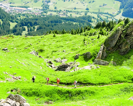 20230720-15h17m27s-53156315388_d986927dab_o-V3 Petites aiguilles ou écailles (pointées à 2129m) sur les cartes.