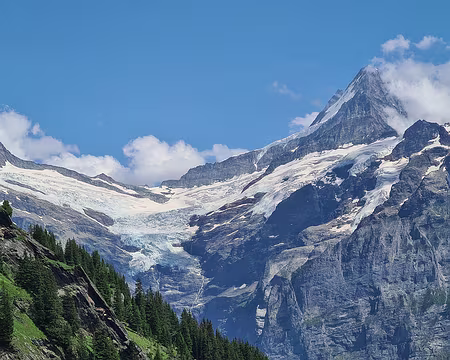 20230720-15h40m11s-V4