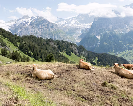 20230720-15h47m50s-V4