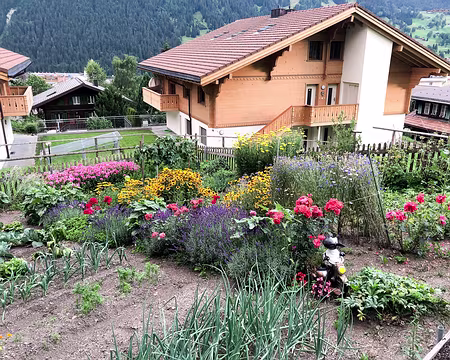 20230720-20h43m24s-V4