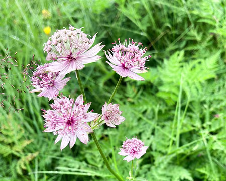 20230722-09h57m28s-IMG_6357-V3