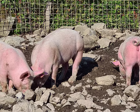 20230723-08h06m47s-V4