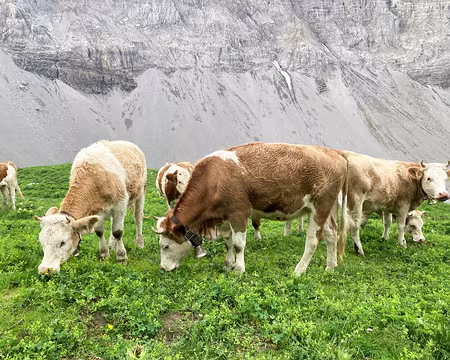 20230724-15h56m13s-IMG_6404-V3