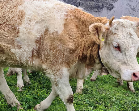 20230724-15h56m35s-V4 c'est l'heure