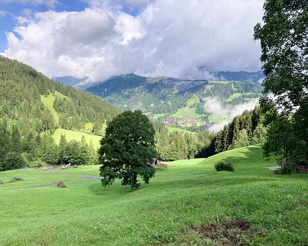 20230725-09h15m54s-IMG_6409-V3