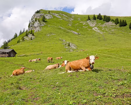 20230726-15h34m00s-V4