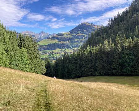 20230727-09h21m33s-IMG_6432-V3