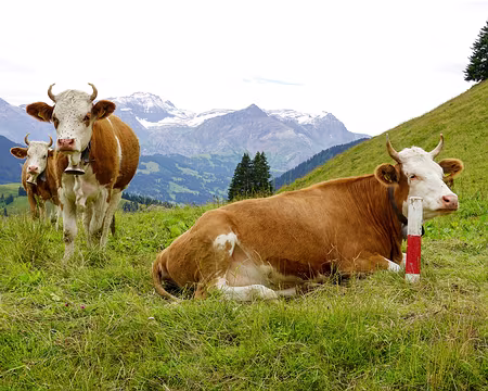 20230727-11h03m20s-V4