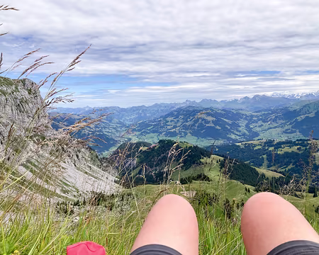 20230727-13h00m47s-IMG_6440-V3