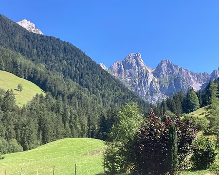 20230727-16h12m49s-IMG_6453-V3