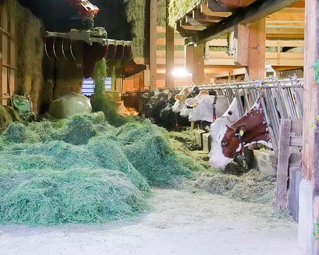 20230727-21h25m18s-V4 Oui nous aussi nous mangeons