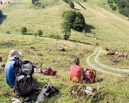 20230728-16h12m03s-IMG_6457-V3