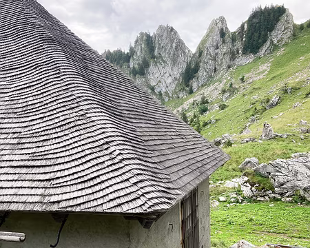 20230729-08h54m33s-IMG_6471-V3