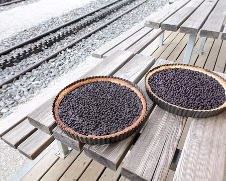 20230729-09h56m45s-V4 nous avons laissé quelques restes pour les suivants